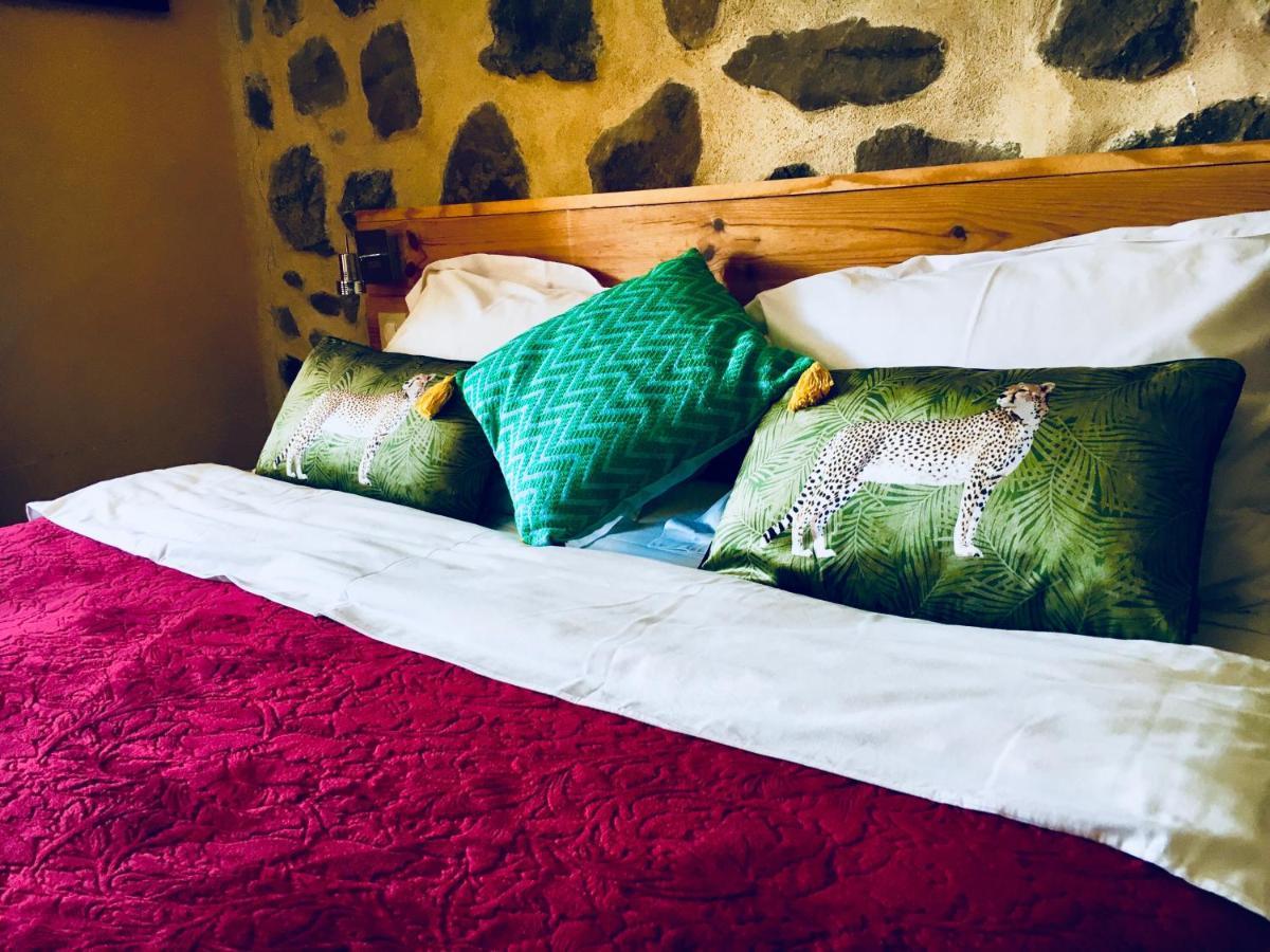Chambre D'Hotes La Grange Des Ecrins Chabottes Exterior foto